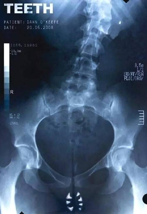 犹他州驾驶执照哪里可以做假的